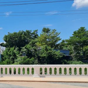 งานบัวตกแต่งสะพาน ทางเข้าหมูบ้าน ศุภาลัย พรีม่า วิลล่า นครศรีธรรมราช 4