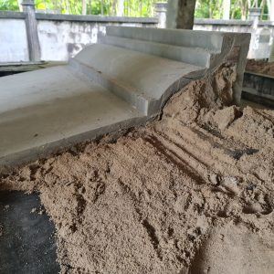 บัวลาย บัวโรมัน บัวดอก 5