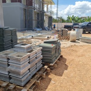 บัวหัวเสา หน้างาน นาเคียน อำเภอเมือง นครศรีธรรมราช4